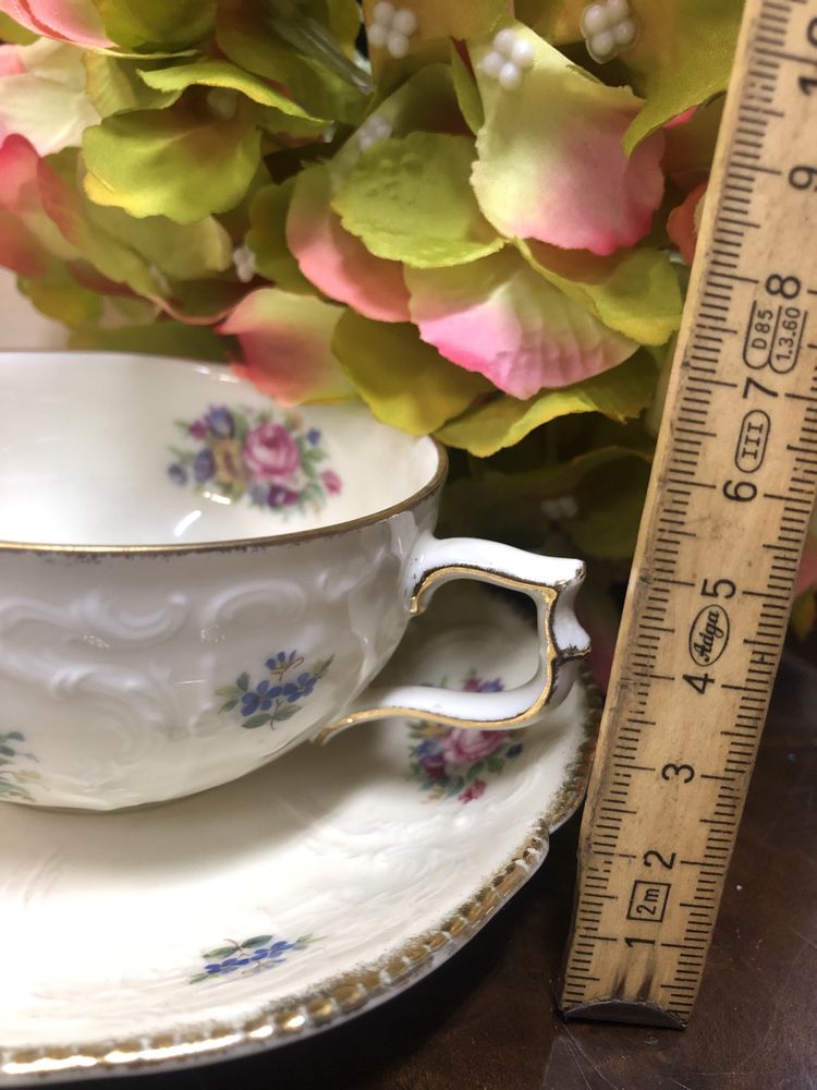 Filiżanka ze spodkiem Rosenthal sanssouci