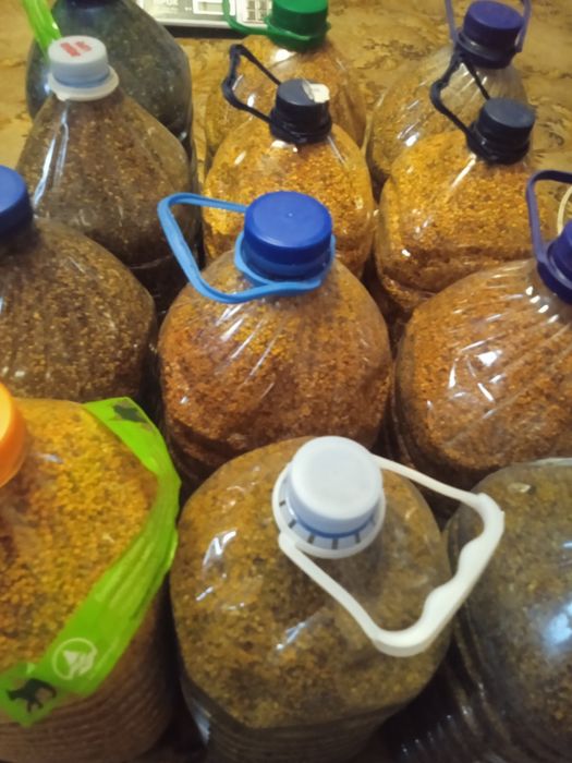 Бджолиний пилок з власної пасіки