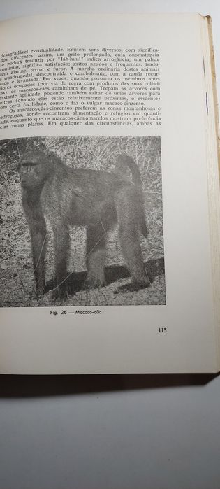 Abecedário dos Mamíferos Selvagens de Moçambique (1975, 1ª edição)