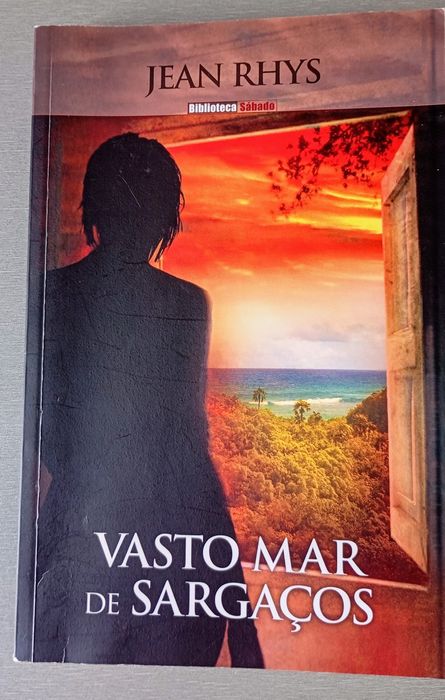 Livro Vasto Mar de Sargaços, de Jean Rhys