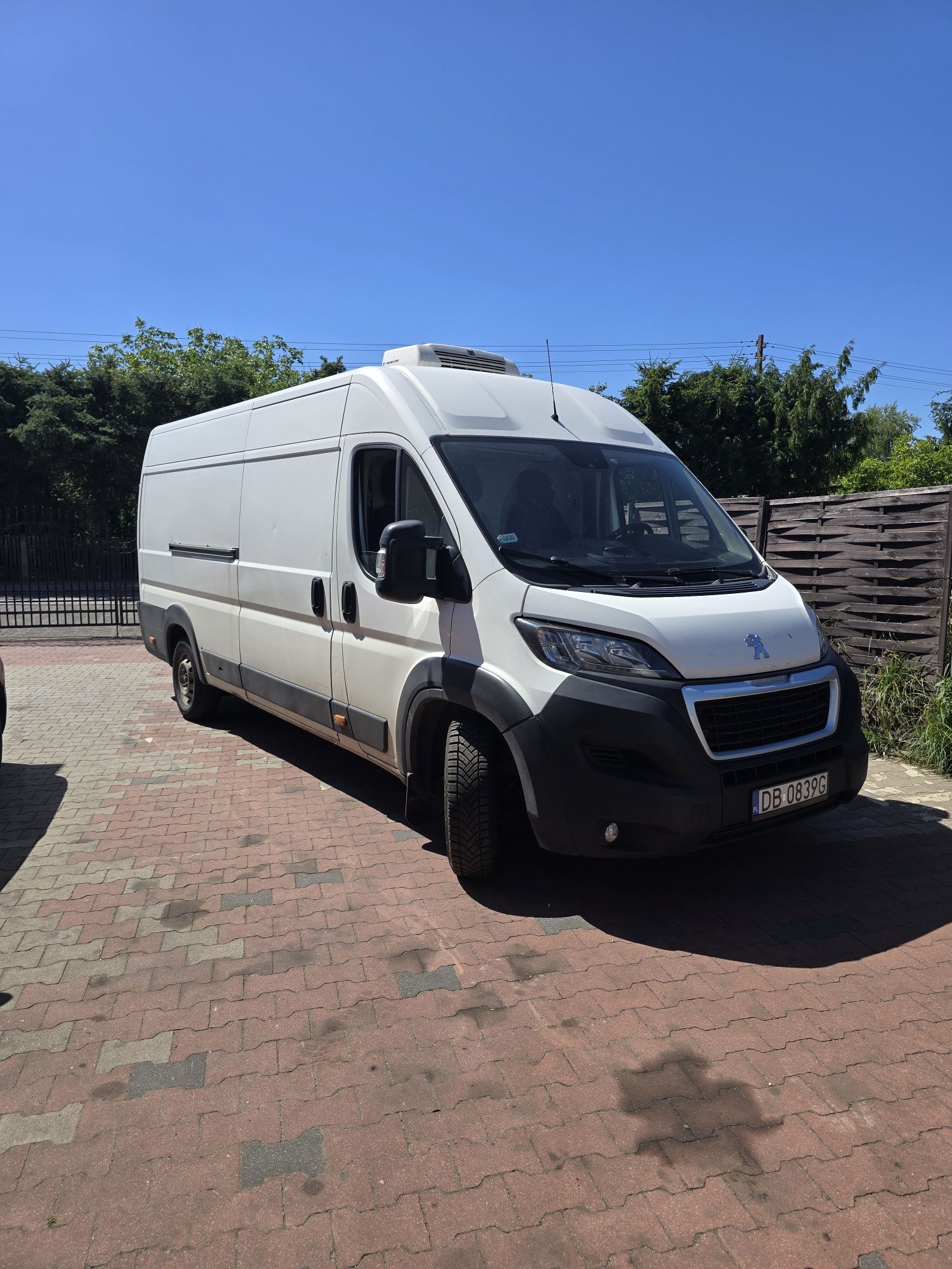 Peugeot boxer ducato jumper chlodnia