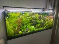 Oświetlenie Akwarium 450l , 270 wat , 33tys lumenów