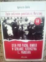 Sten pod pachą,bimber w szklance,dziewczyna i Warszawa (Powstanie '44)