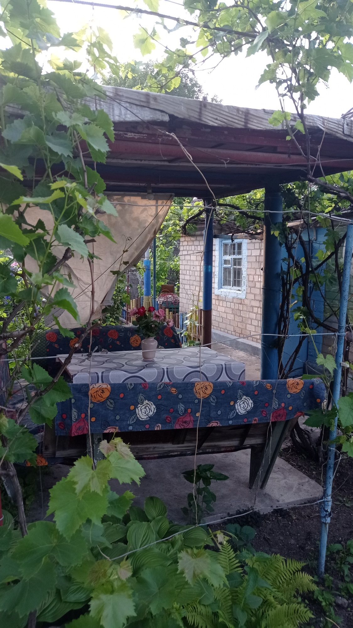 Сдам посуточно Дачу у  р.Днепр