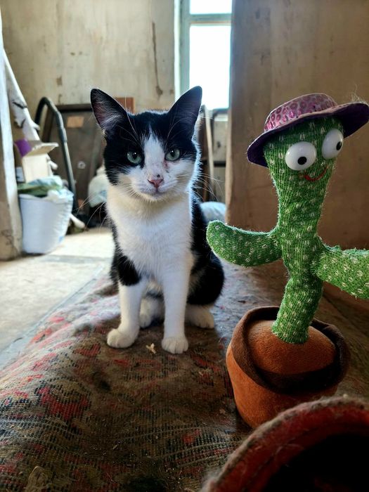 Активна весела дівчинка