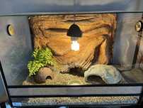 Uszkodzone terrarium z calym wyposazeniem 60x40x40