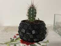 Doniczka kaktusa druk 3d stylowa nowoczesna