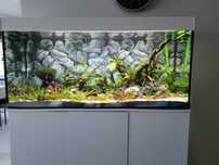 Akwarium 375l pełne wyposażenie.