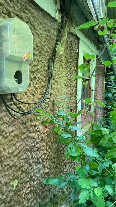 Будинок у с.Цибулівка