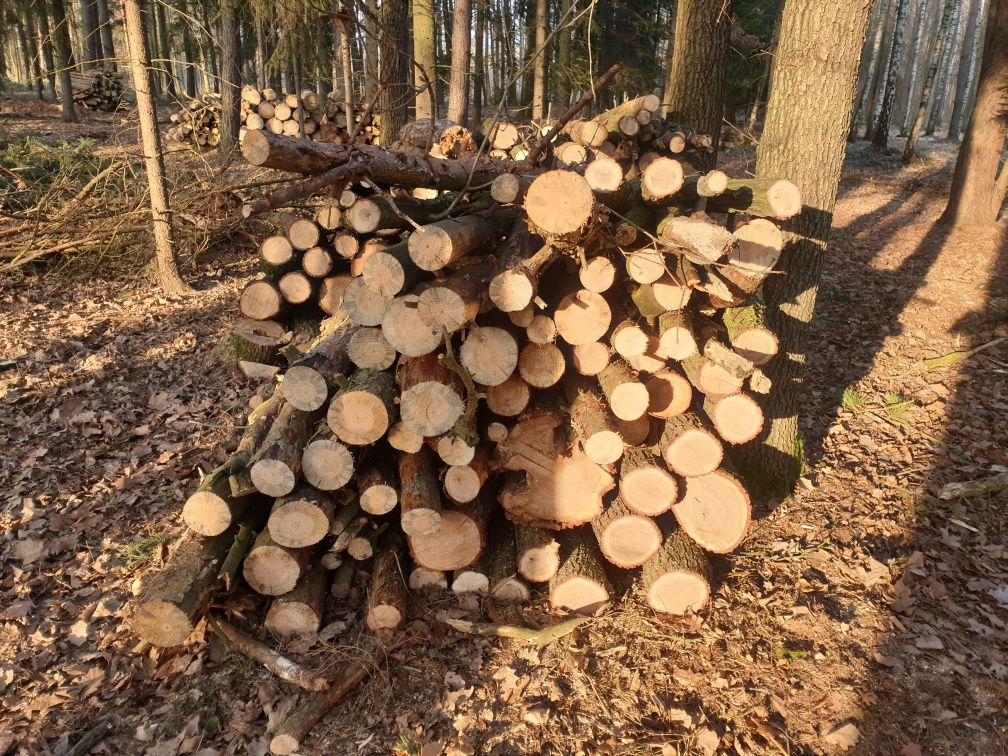 Sprzedam drewno na opał