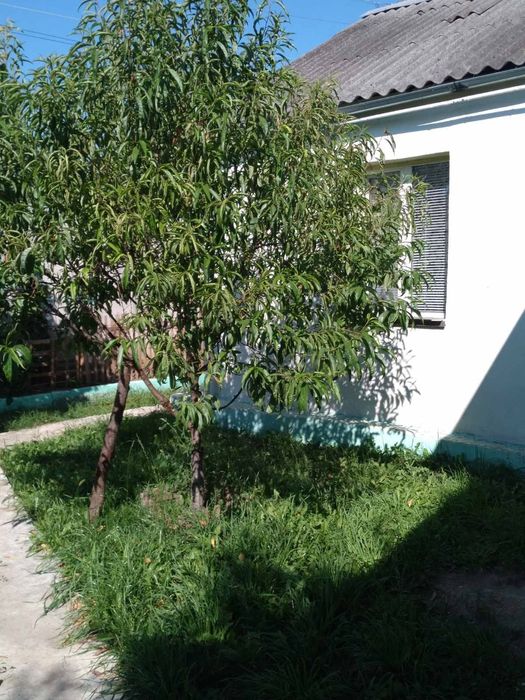 Продам дом в Харькове район Сортировки.
