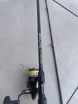 Spining mikado oraz ninja lt250
