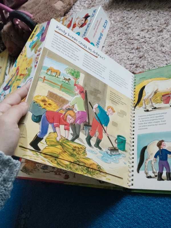 Konie i kuce ksiażeczka z okienkami