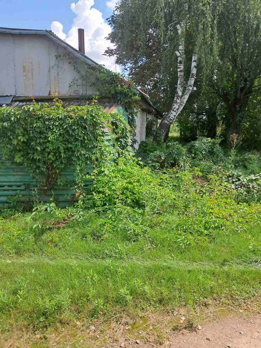 Будинок на околиці села зі зручностями