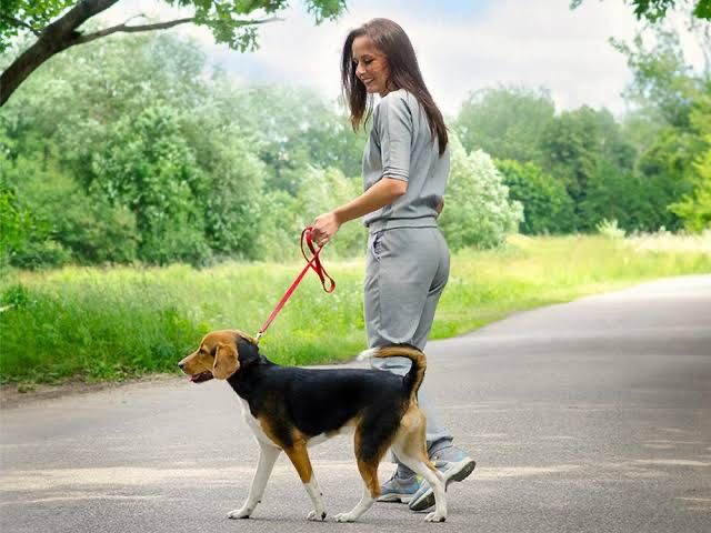 Dog walking e pet sitting