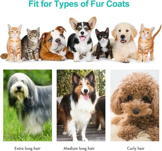 Професійна набір для стрижки тварин грумінгу