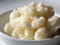 Probiótico Kefir