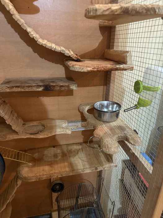 Клітка вітрина для дегу