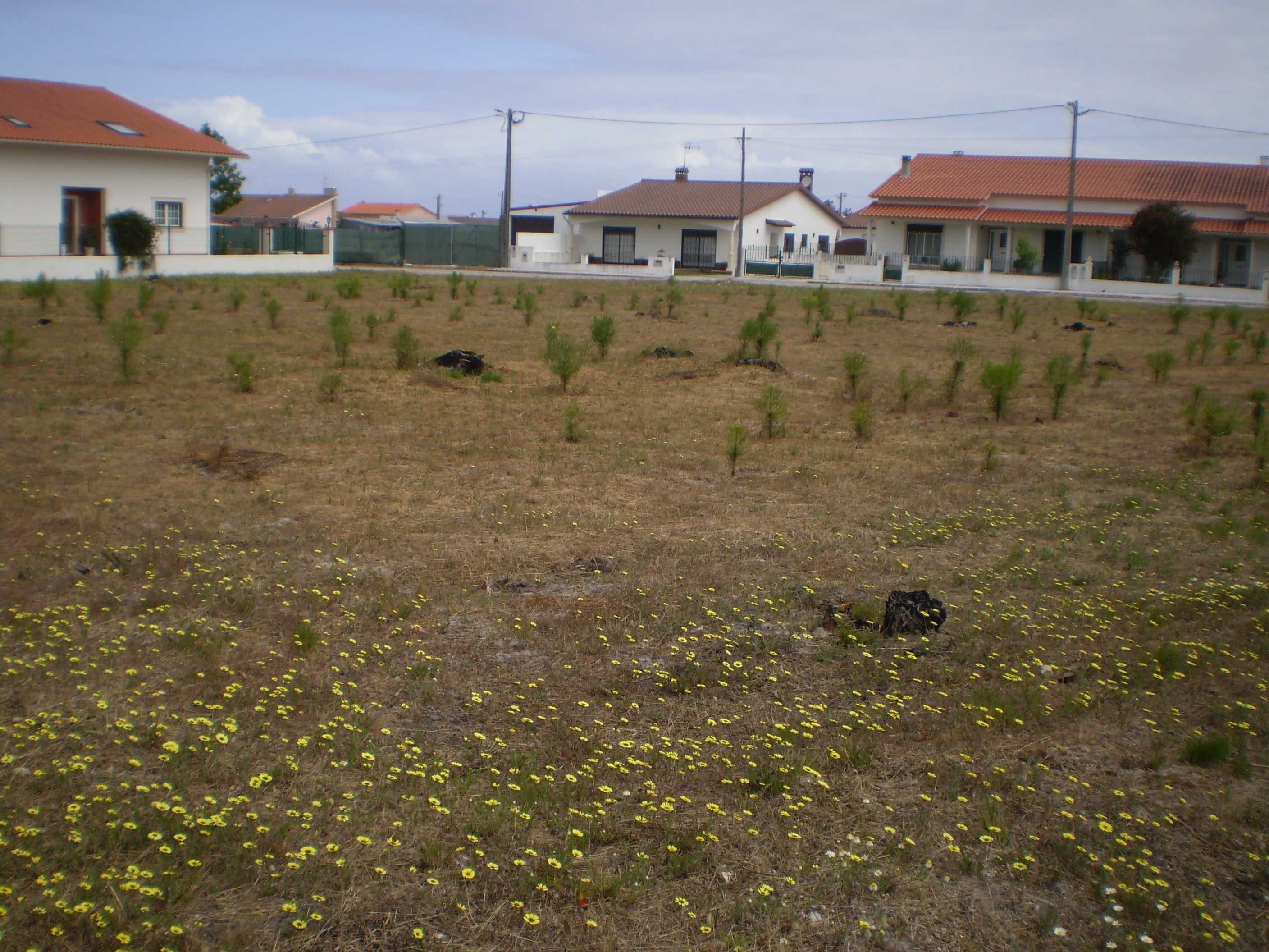 Terreno para construção/investimento
