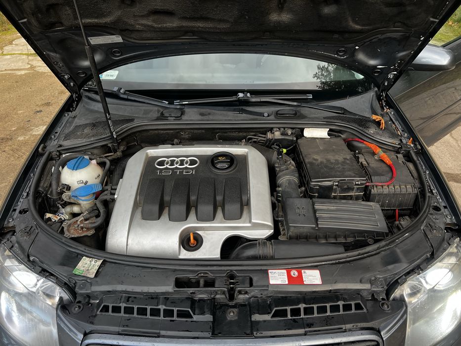 Audi a3 8p 1.9tdi 105PS