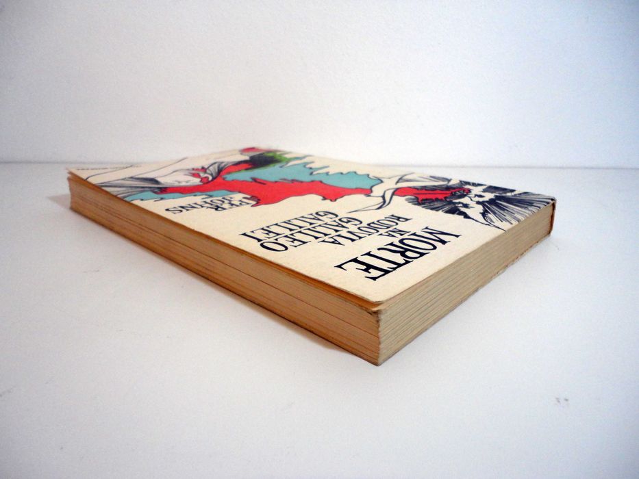 "Morte na Rodovia Galileo Galilei" (Per Johns)