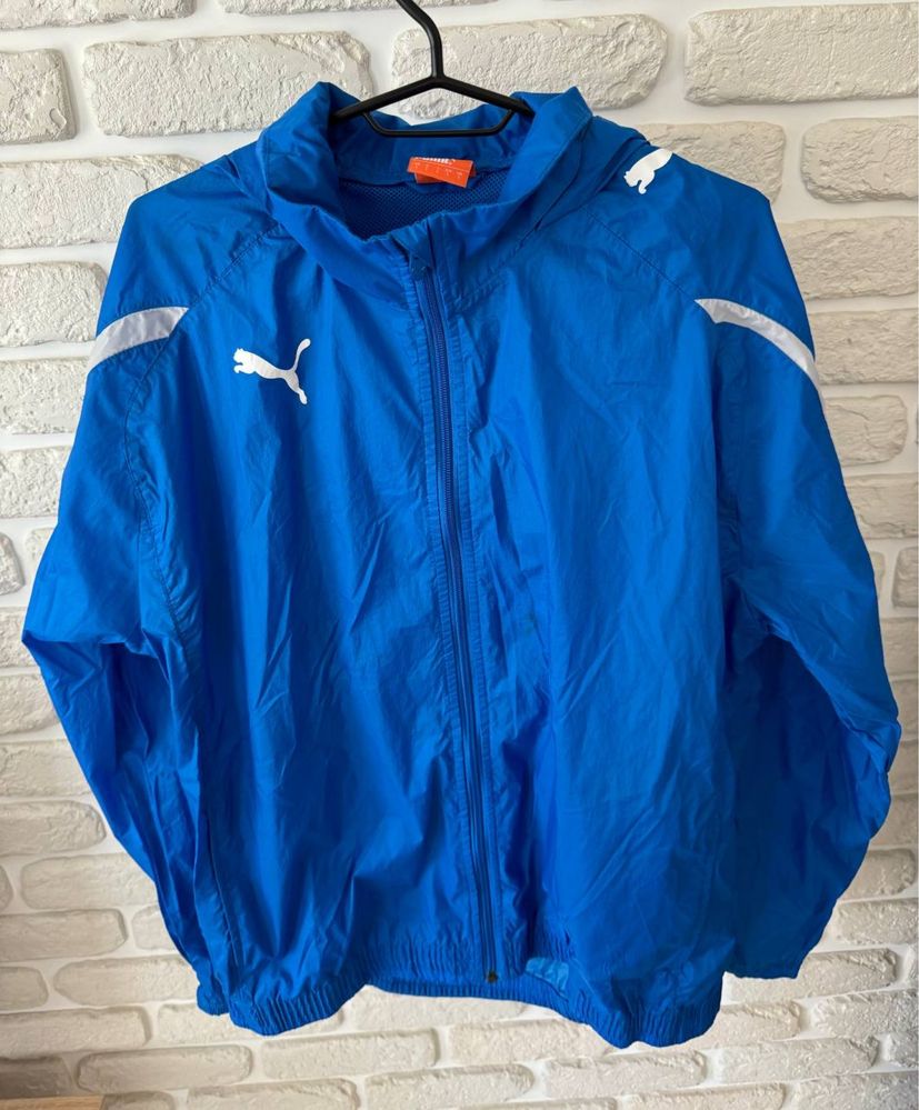 Вітровка Puma