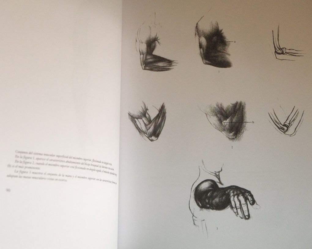 Anatomía artística del cuerpo humano, Jeno Barcsay