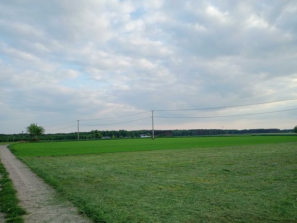 Działki budowlane Trzebiegoszcz