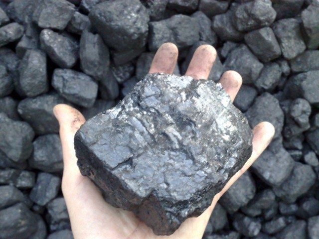 Węgie  orzech kostka groszek PGG Transport