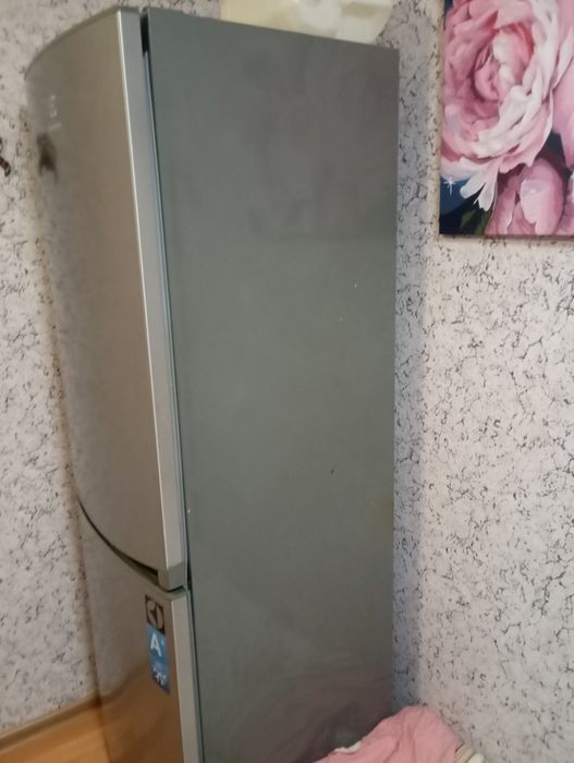 Холодильник Elektrolux