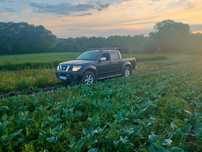 Nissan navara d40