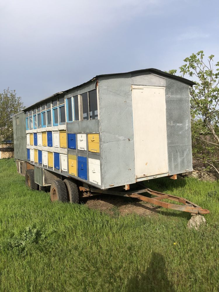 Бджолопавільйон з документами