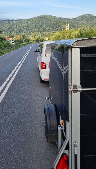 Wynajem bus na wesela/kawalerskie/panieńskie/imprezy okolicznościowe