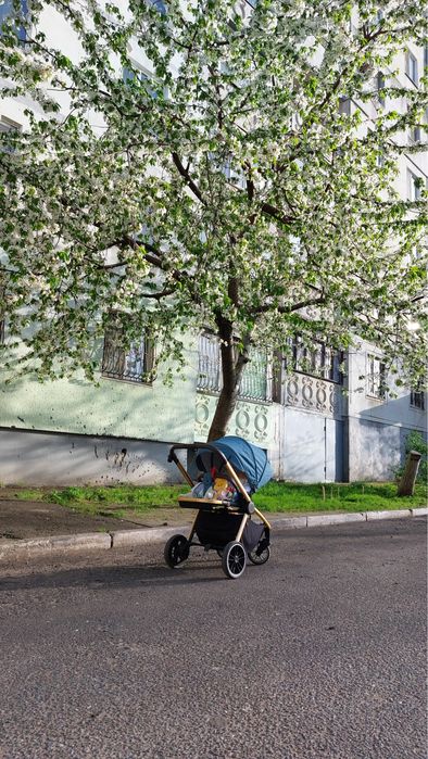 Коляска Carrello EPICA. Тип коляски 2 в 1.