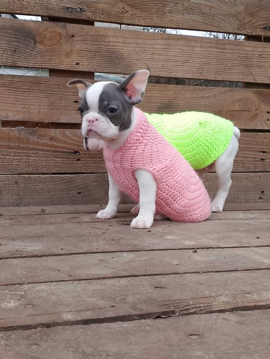 Мальчик и девочка французики