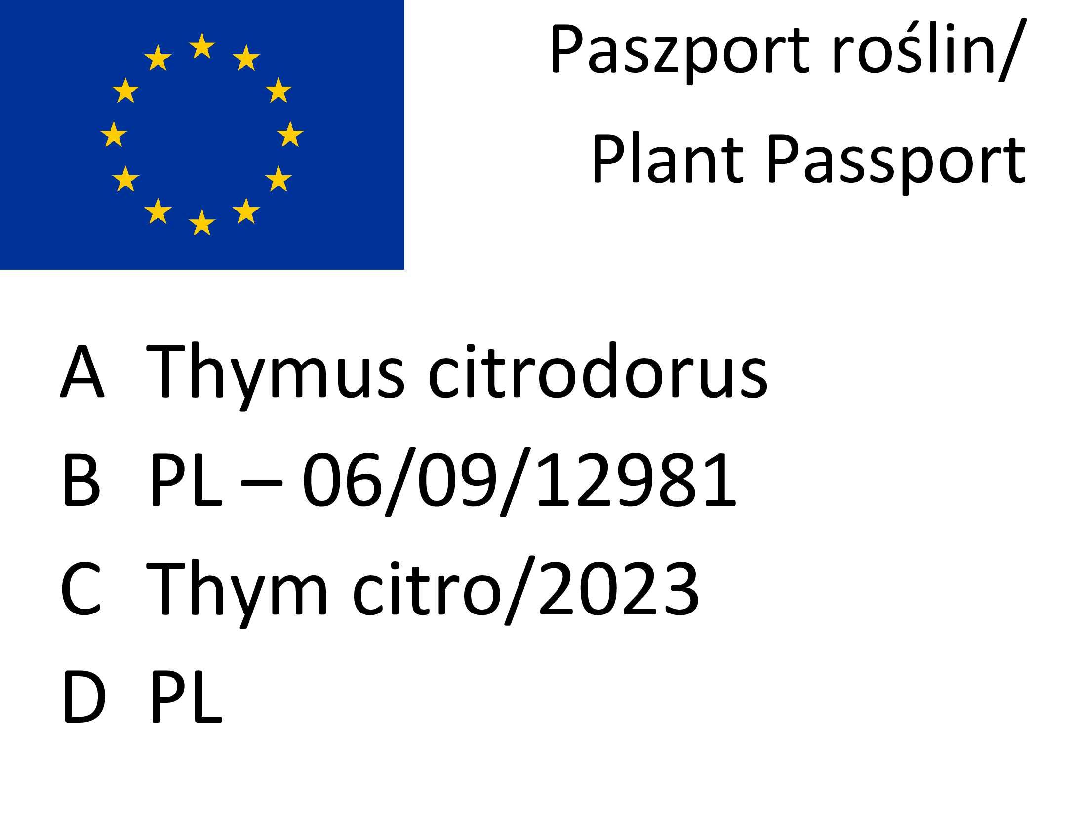 Macierzanka cytrynowa pachnąca