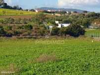Quinta Agrícola