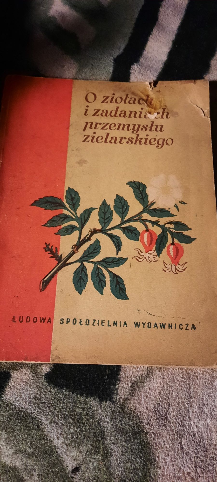 O ziołach i zadaniach przemysłu zielarskiego