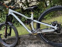 Dartmoor Rocbird "S" frameset Fox DPX2 Saint