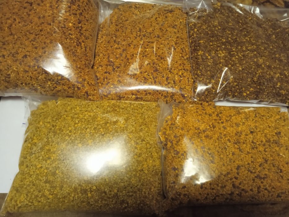 Бджолиний пилок з власної пасіки