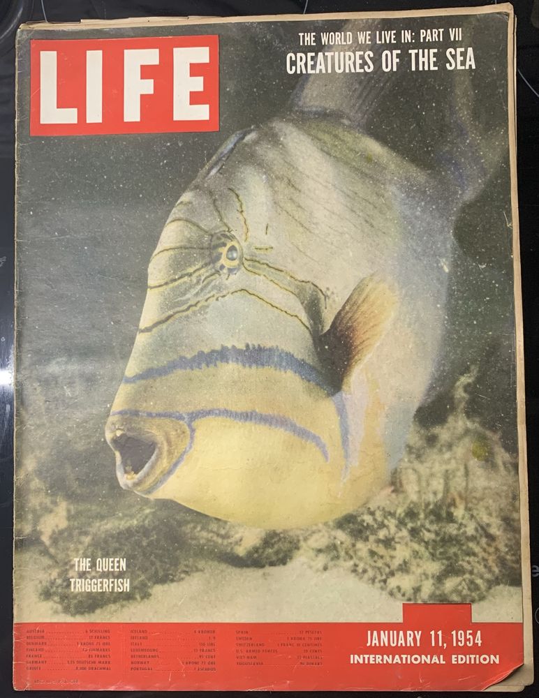 Revista Life 1954