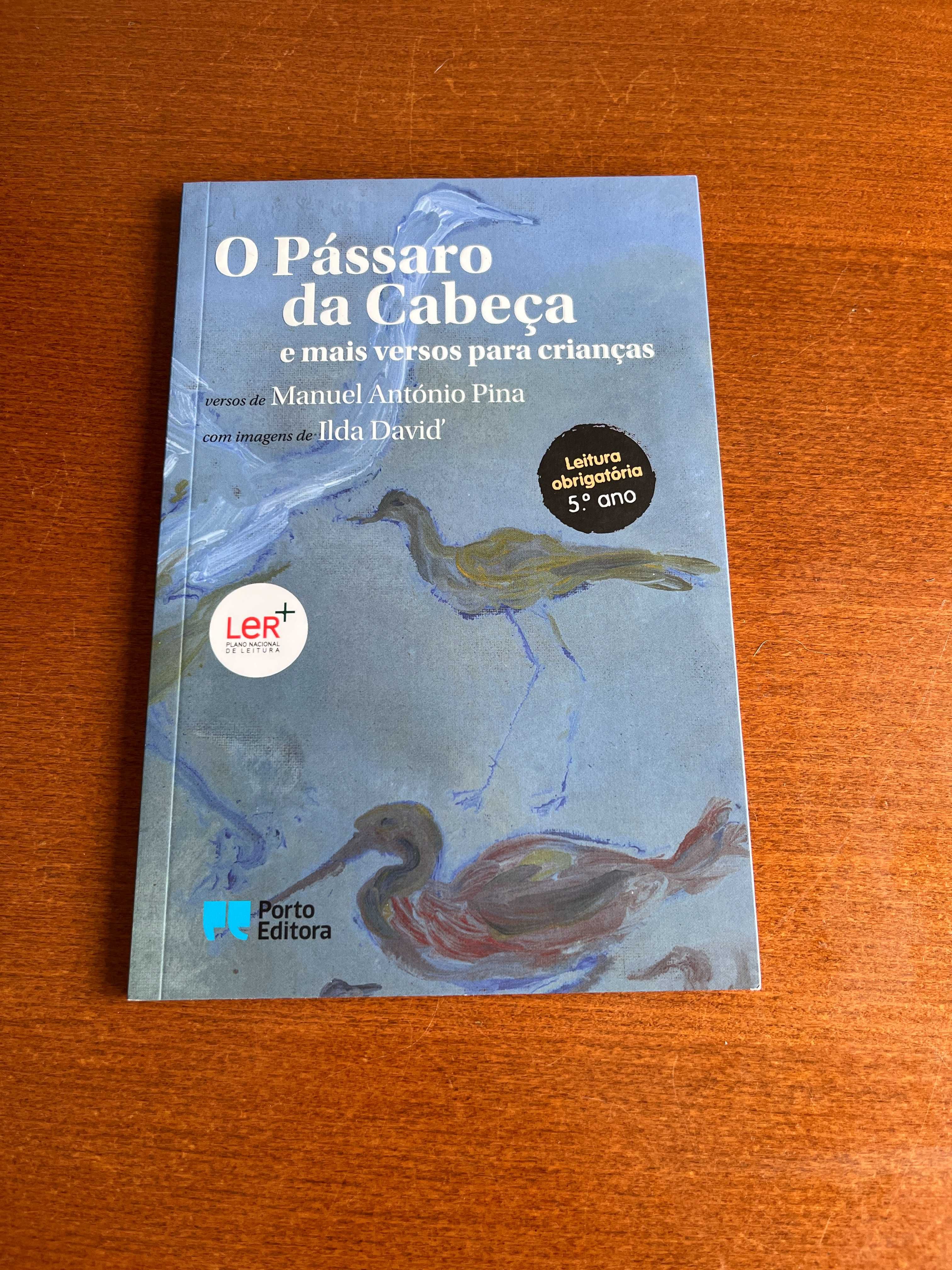 O Pássaro da Cabeça - Manuel António Pina - LER+