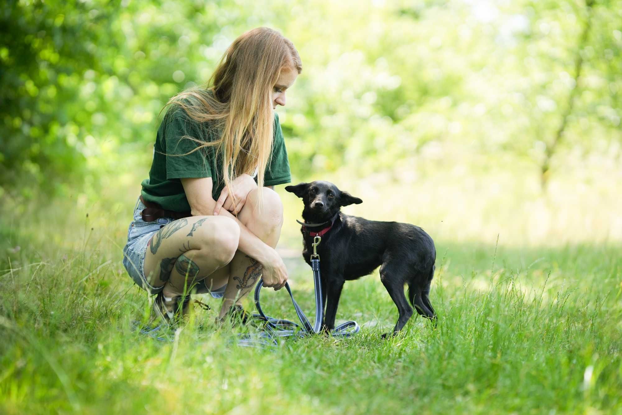 Werka - czarna, spokojna suczka do adopcji!