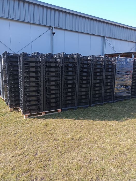 Skrzynka plastikowa 60/40