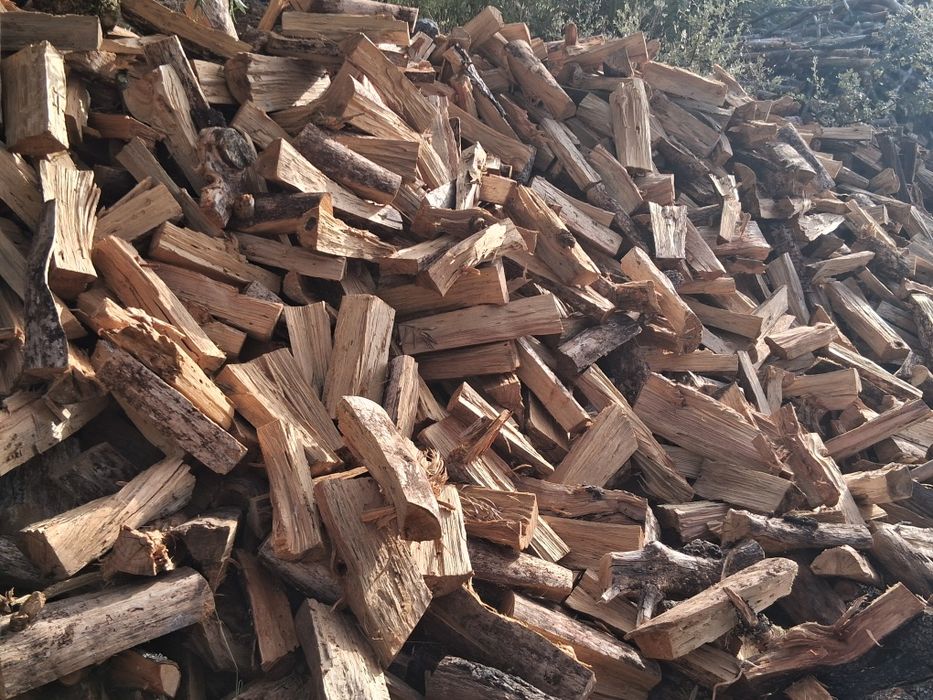 Lenha de pinho seca