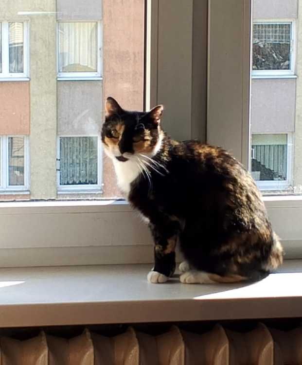 Jej jedyne marzenie to, aby znaleźć ciepły i kochający domek