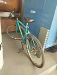 Bicicleta de adulto