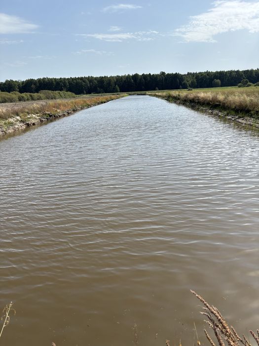 Dzialki w odlełości 400m od jeziora Krasne z dostepem do stawu.