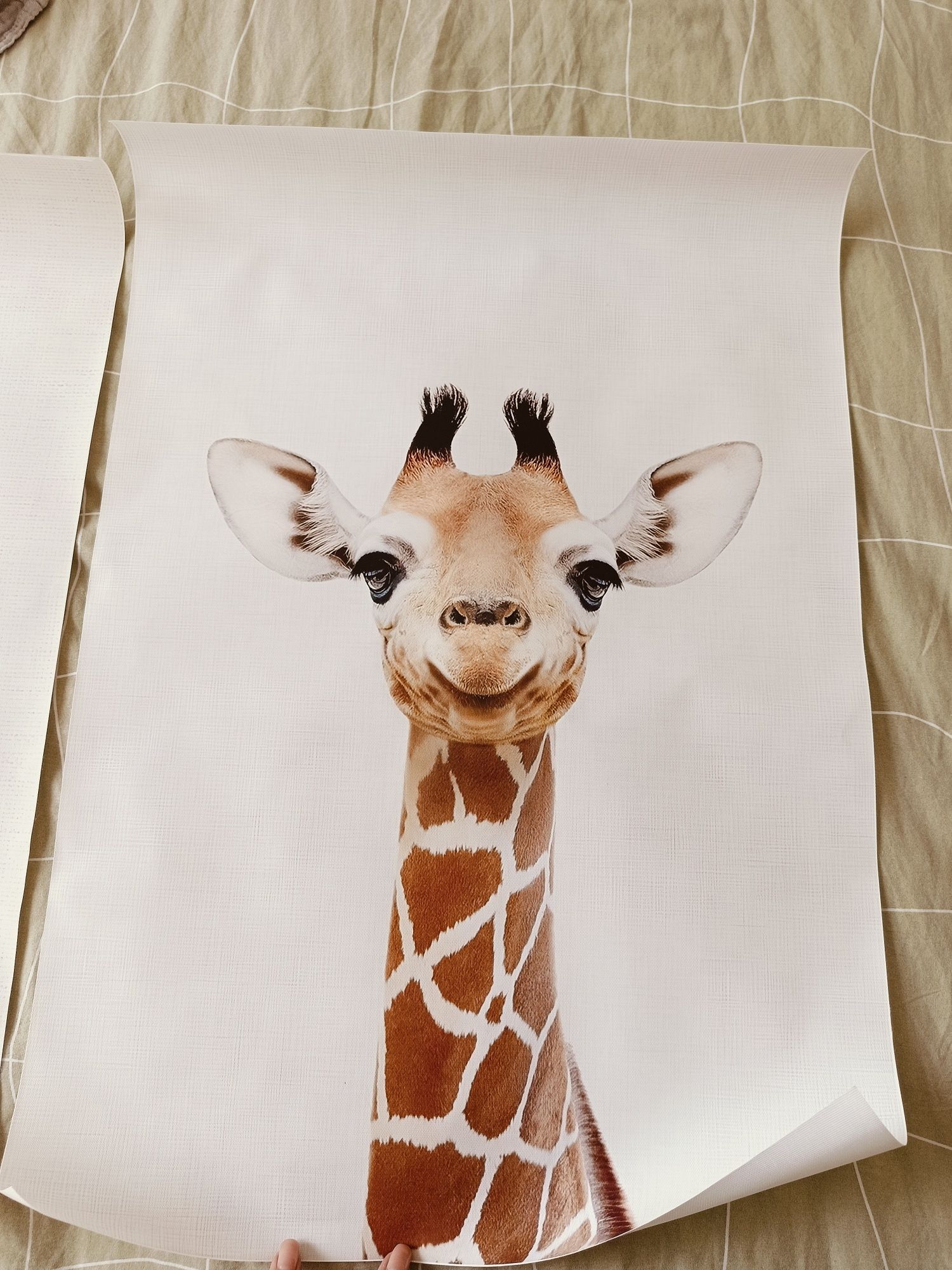 Plakaty do pokoju dziecięcego plakat zwierząt 40x60
