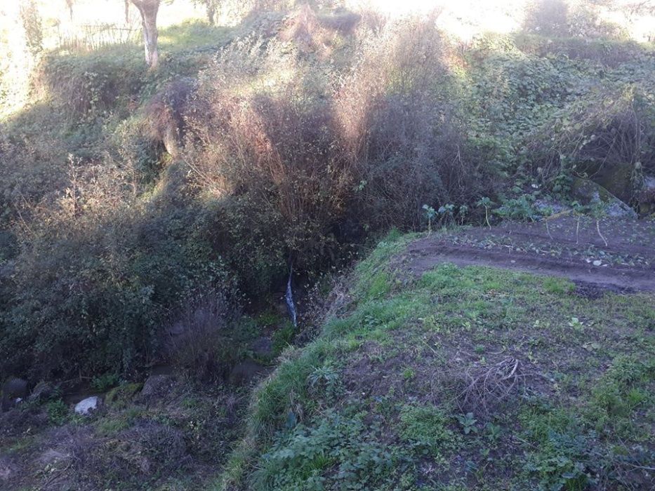 Quinta em Travanca, moinho azenha em ruínas, ribeiro com água corredia